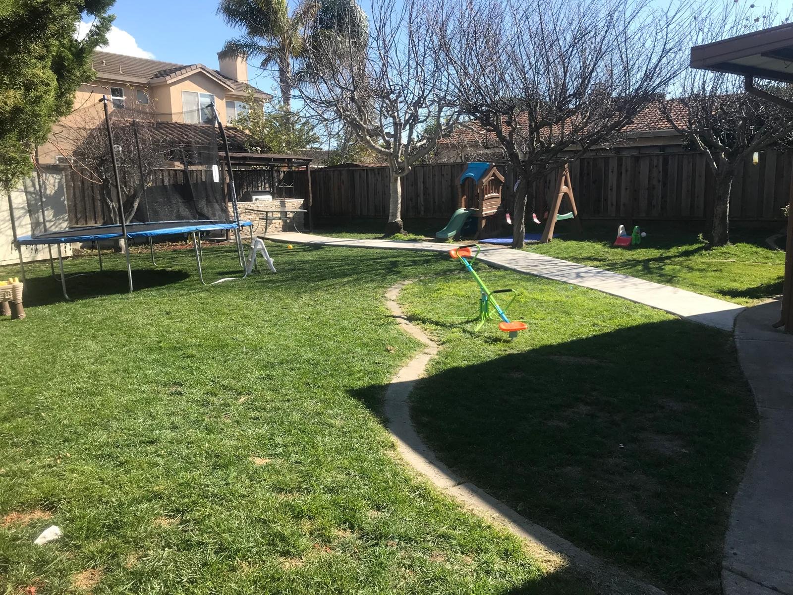 Backyard with open grass and a winding stepping-stone path